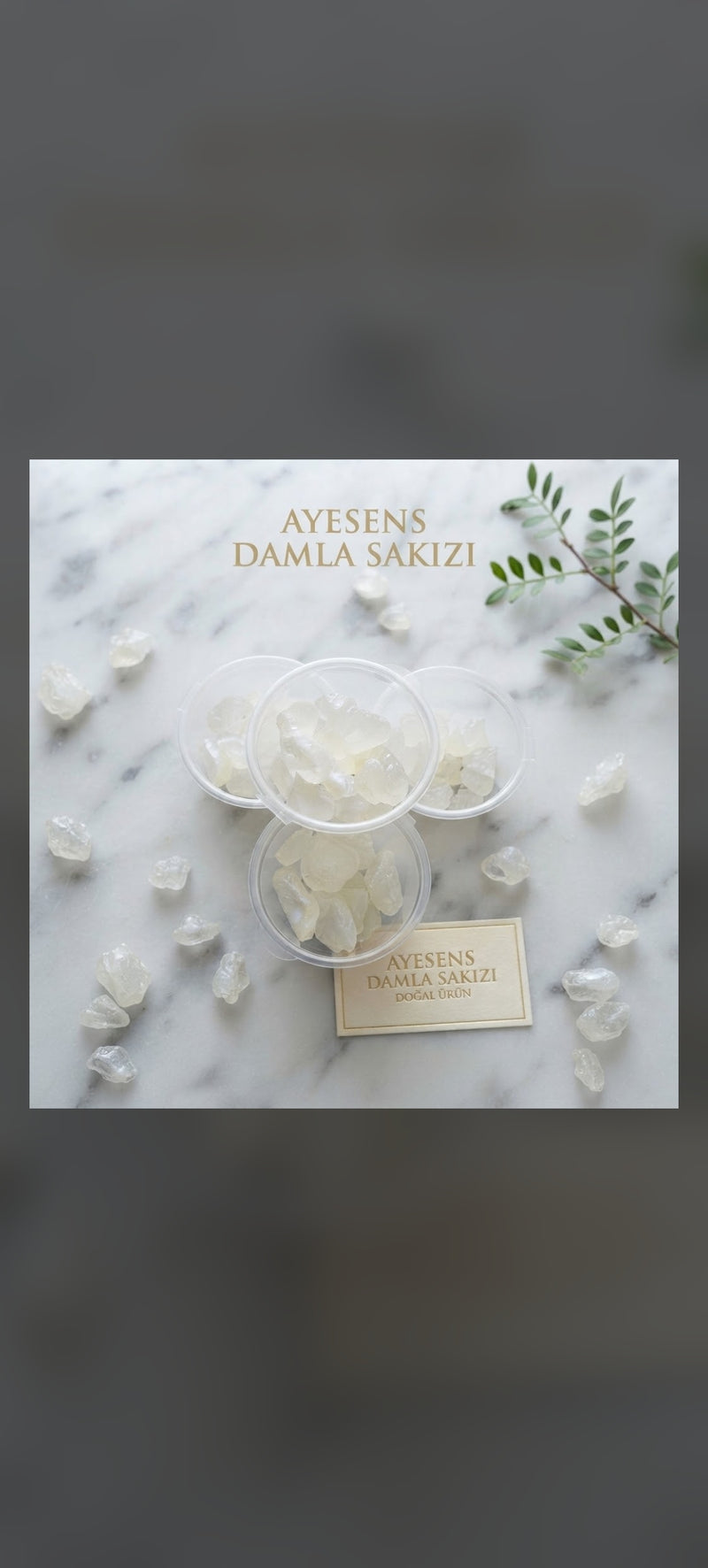 DAMLA SAKIZI 10Gr