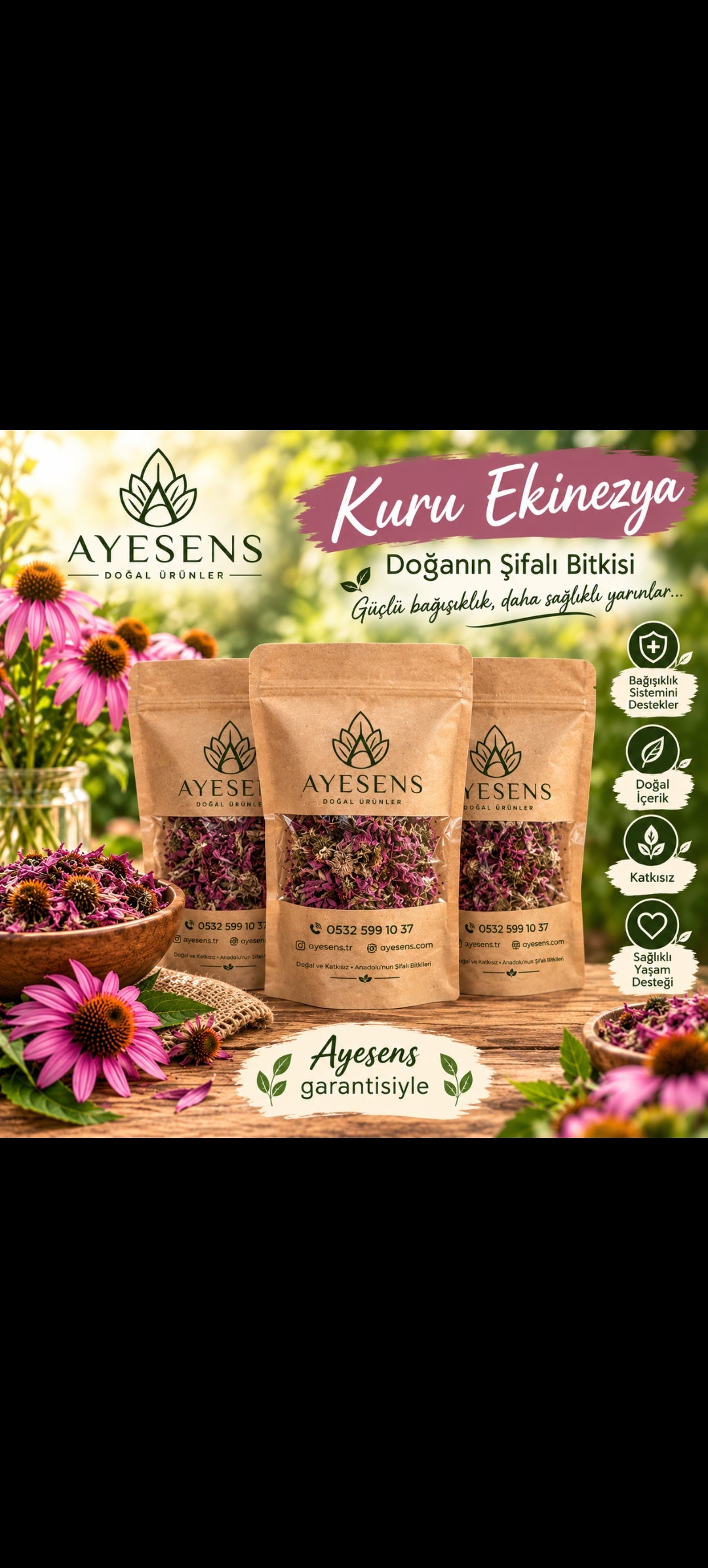 KURU EKİNEZYA 100 GR